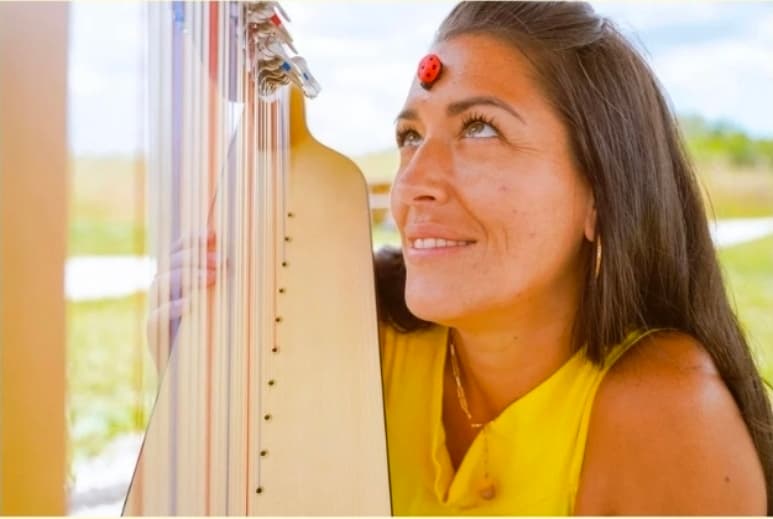 Lolie Harpe : Le voyage de la Coccinelle